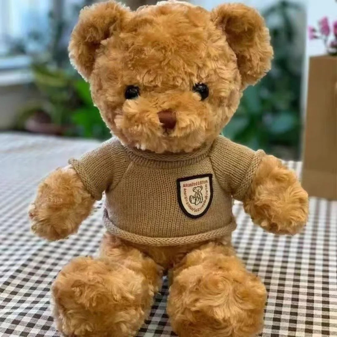 Mini Teddy Bear – 30cm Plush with Sweater
