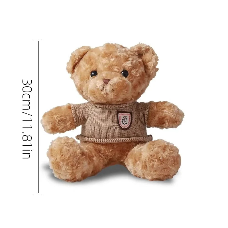 Mini Teddy Bear – 30cm Plush with Sweater