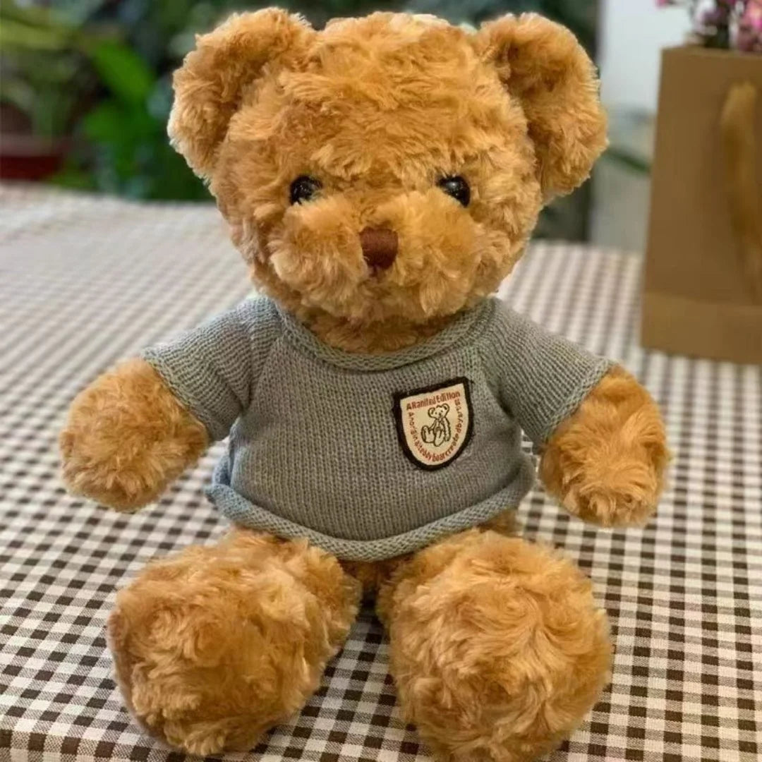 Mini Teddy Bear – 30cm Plush with Sweater