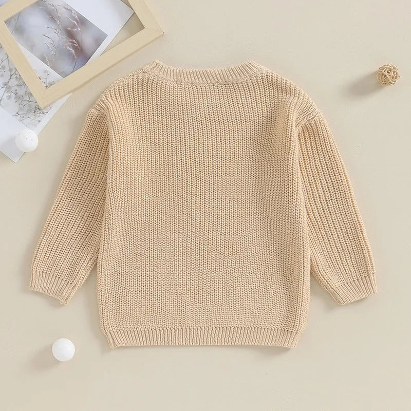 Mini Letter Knit Pullover